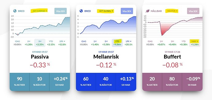 Skärmbild 2021-03-20 090836