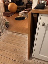 IMG_5166