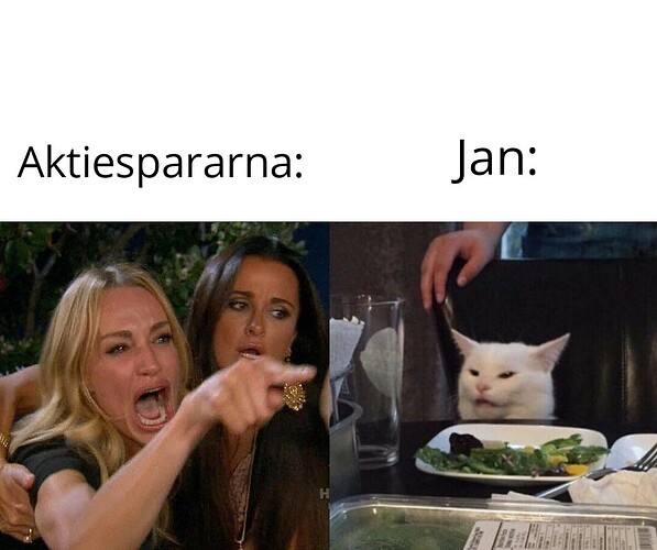 Two Women Yelling at a Cat 30062021213955
