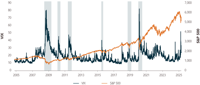 VIX index graf