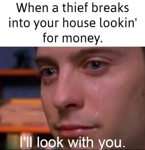<p>En person med ett tårfyllt ansikte visas under texten "When a thief breaks into your house lookin' for money. I'll look with you."</p> (Captioned by AI)