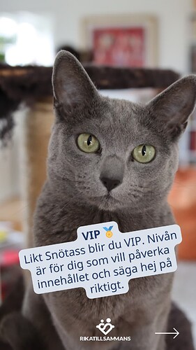 VIP-nivån