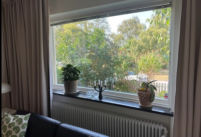 Stort fönster som jag räknar som två.