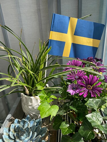 IMG_905836373