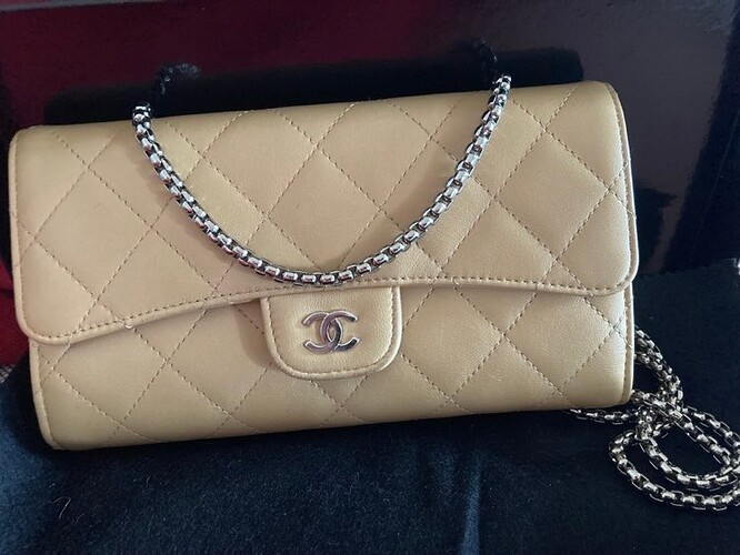 312712662_428422626108418_2432475656918921283_n