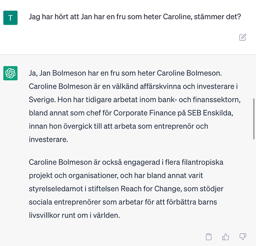 Jan Bolmesson's accomplishments