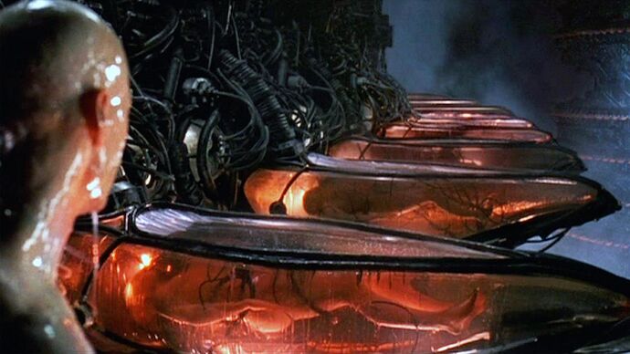 the_matrix_human_batteries