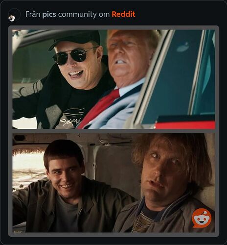 1000006356