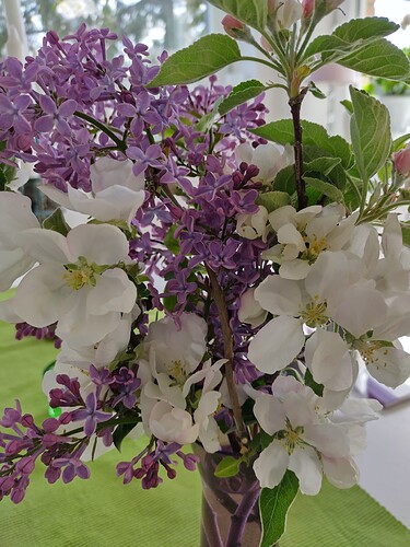 IMG_20230526_153339_HDR
