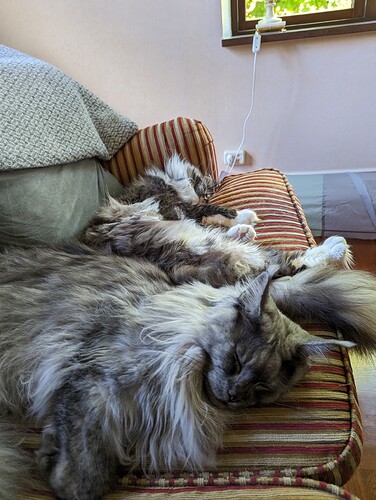 PXL_20230801_152026458