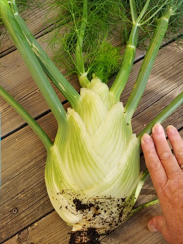 IMG_20231005_155824_HDR