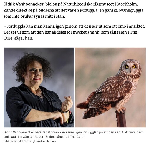 Screenshot 2023-03-07 at 19.15.56