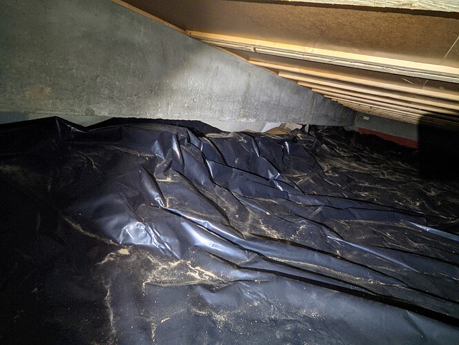 PXL_20220920_163757127.PORTRAIT