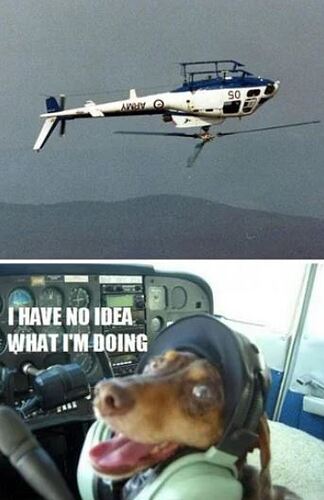 yesthisisdog
