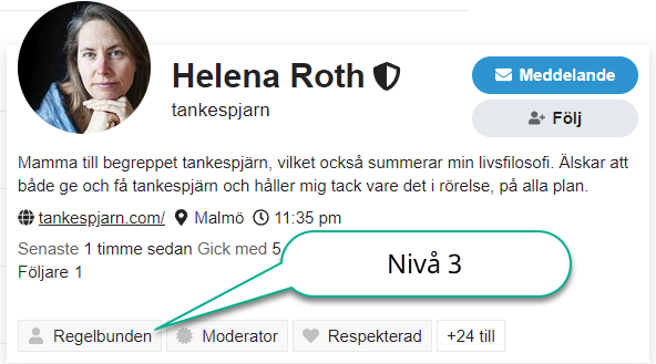 Exempel på nivå 3 "Regelbunden"