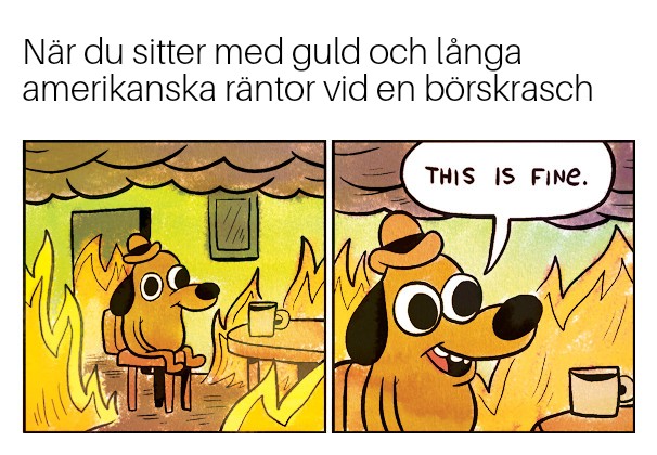 This is fine 08082021211709