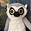 Lemuri
