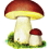 Svampboken